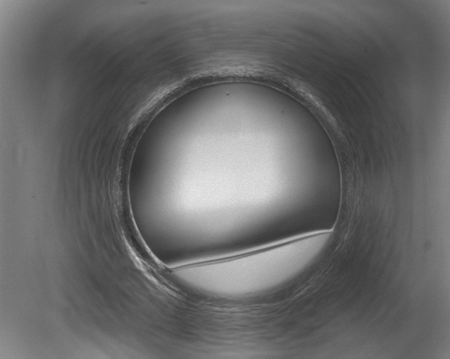 X0000078870677200611131029