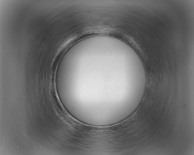 X0000078870679200611131029