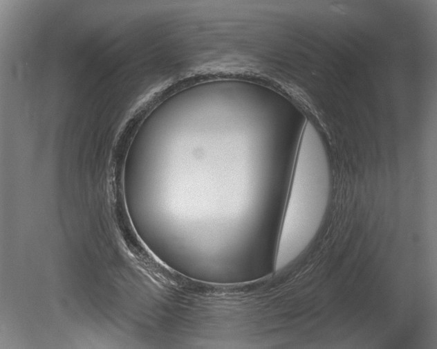 X0000078870680200611131029