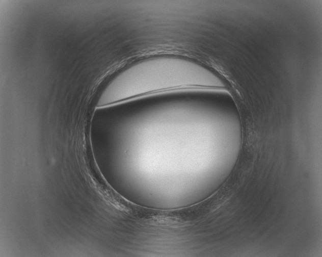 X0000078870681200611131028