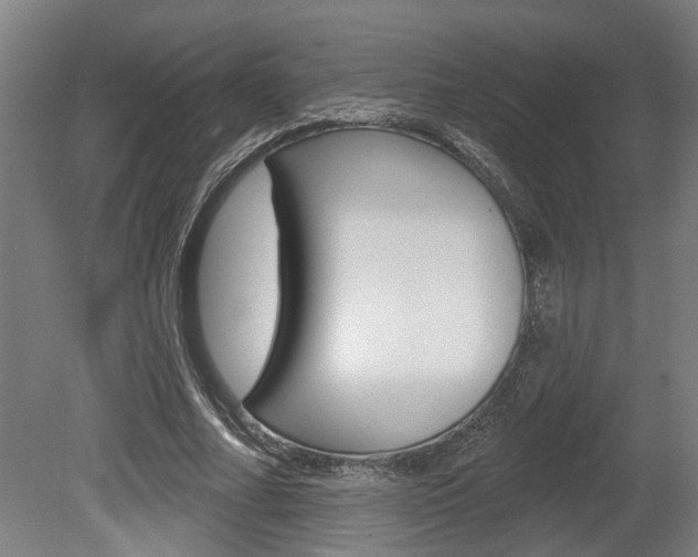 X0000078870682200611131028