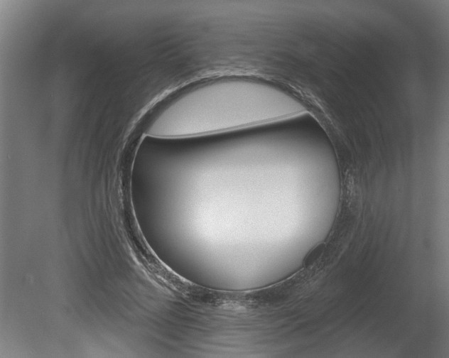 X0000078870684200611131028