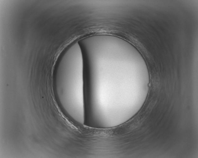 X0000078870721200611131027