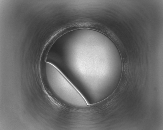 X0000078870722200611131027