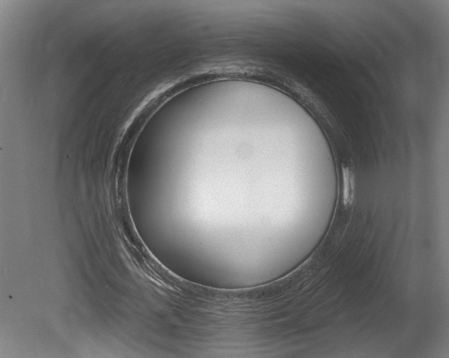 X0000078870723200611131027