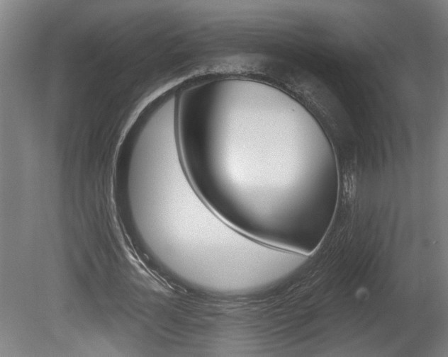X0000078870724200611131027
