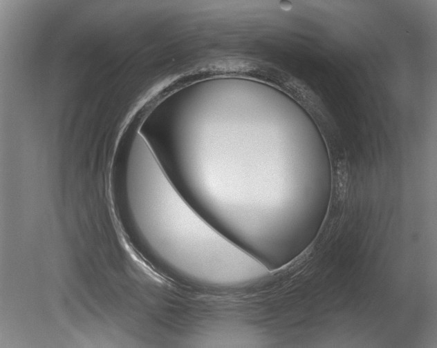 X0000078870726200611131027