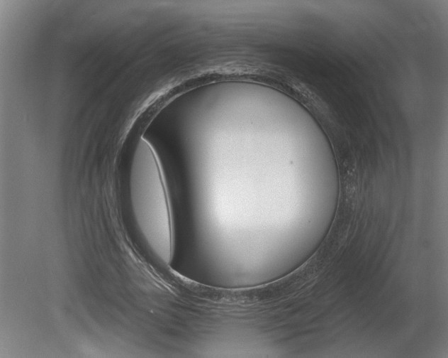 X0000078870727200611131027
