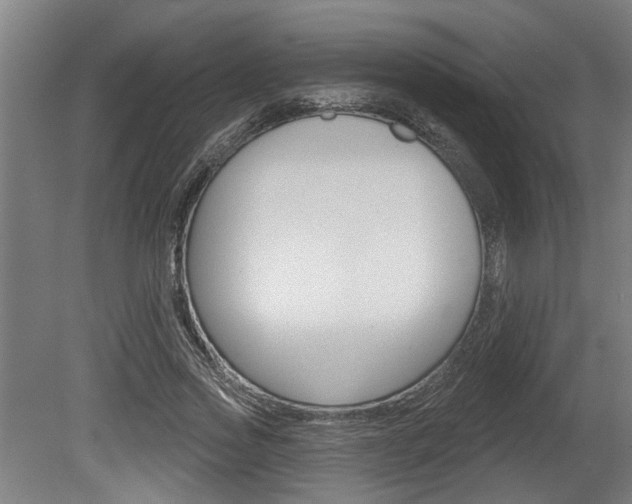 X0000078870733200611131027