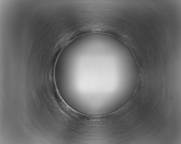 X0000078870740200611131027
