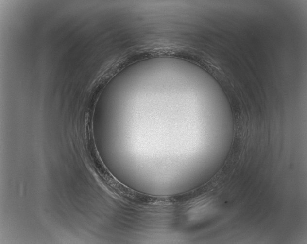 X0000078870742200611131027