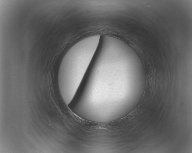 X0000078870743200611131027