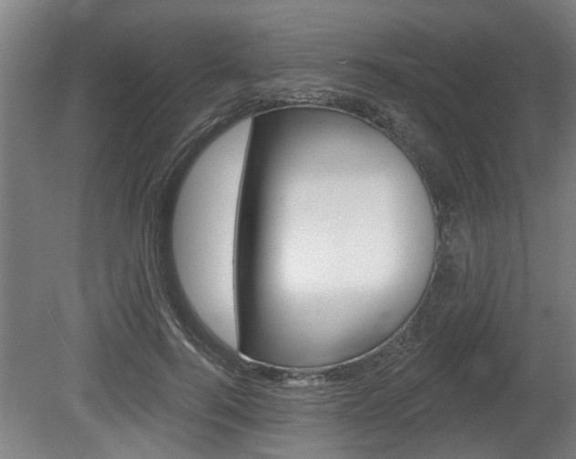X0000078870744200611131027