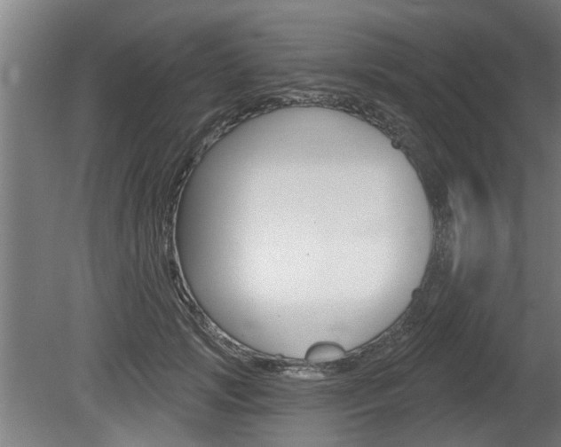 X0000078870749200611131027