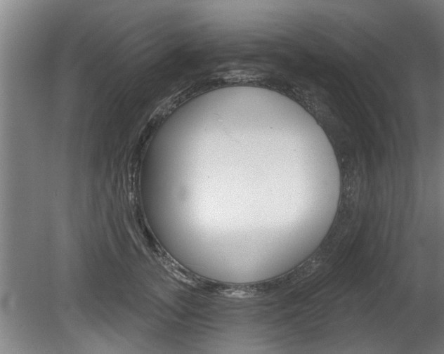 X0000078870755200611131028