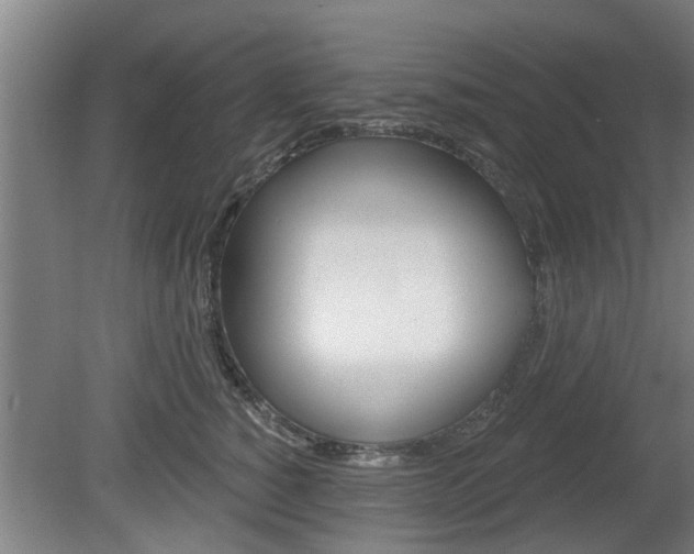 X0000078870760200611131028