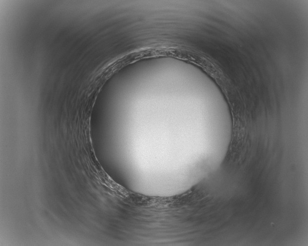 X0000078870773200611131027