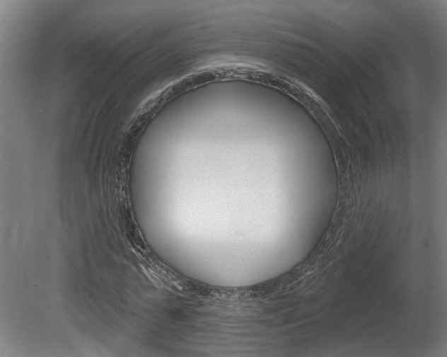 X0000078870775200611131027