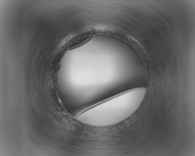 X0000078870776200611131027