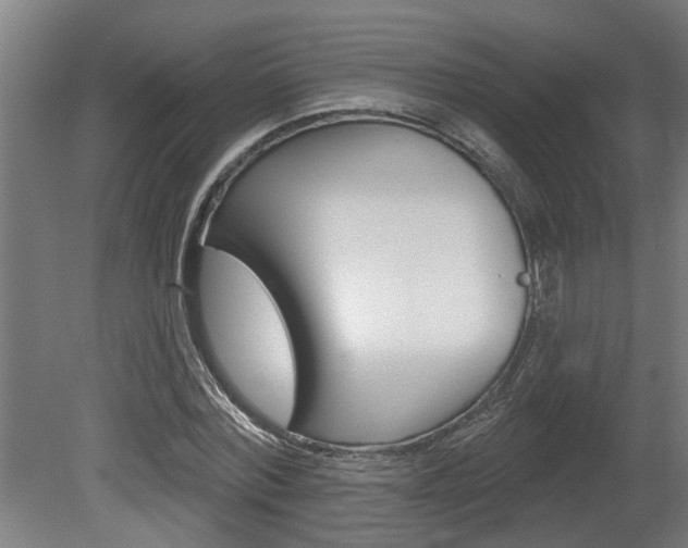 X0000078870780200611131027