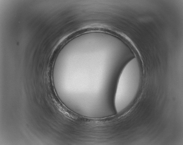 X0000078870783200611131027