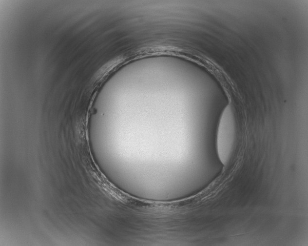 X0000078870785200611131027