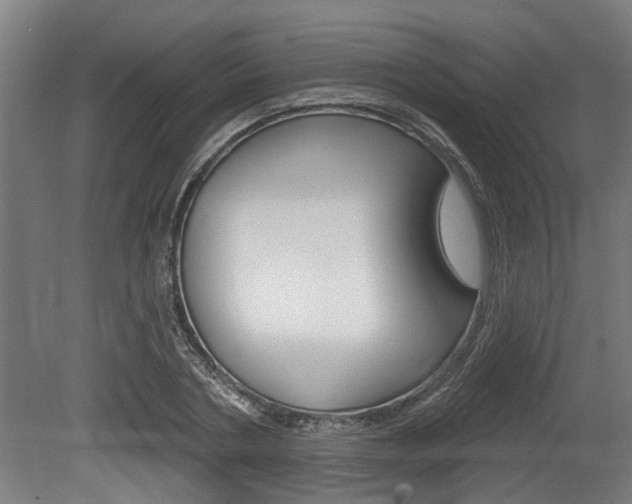 X0000078870786200611131027