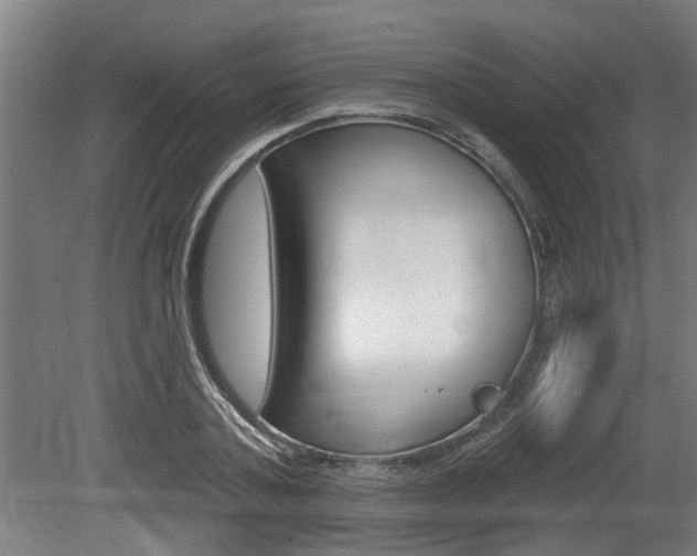 X0000078870787200611131027