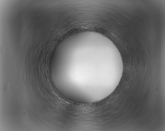 X0000078870817200611131025