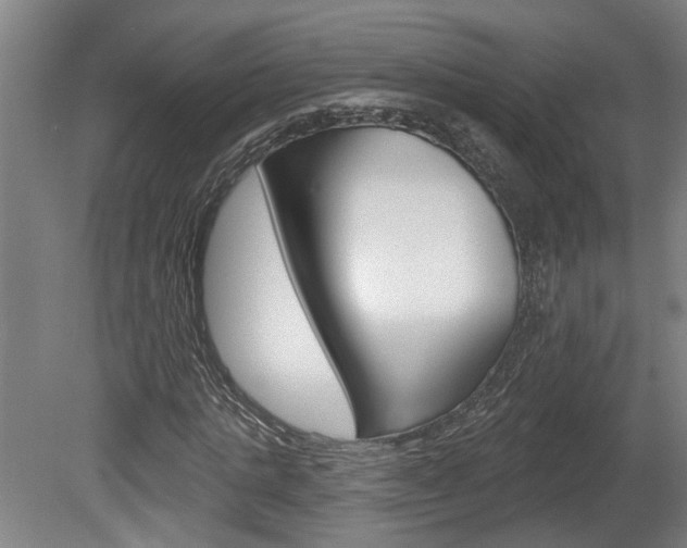 X0000078870821200611131025