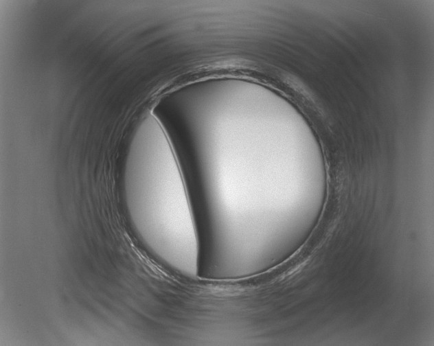 X0000078870825200611131026
