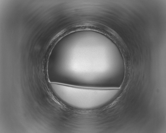 X0000078870826200611131026