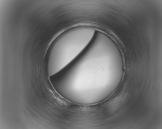 X0000078870829200611131026