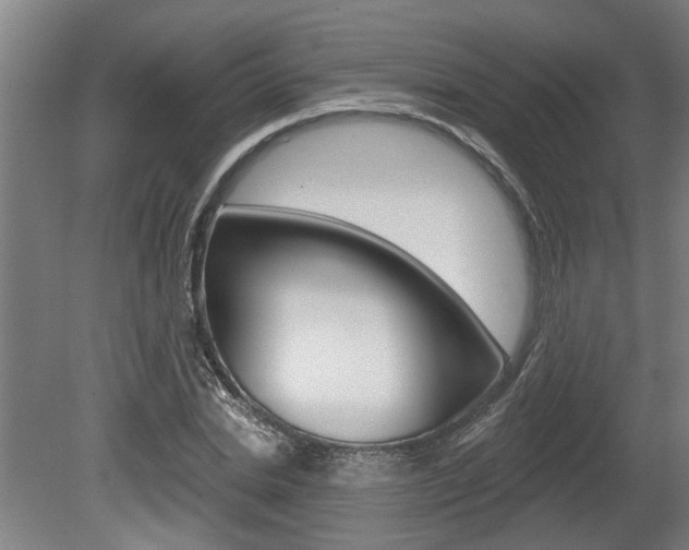 X0000078870830200611131026