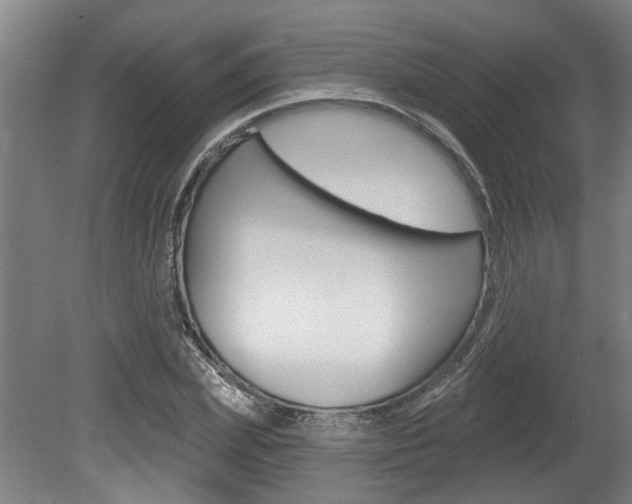 X0000078870831200611131026