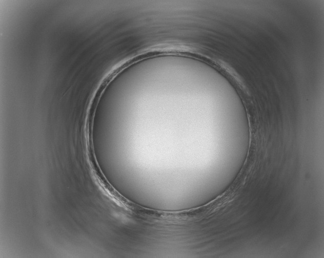 X0000078870840200611131026