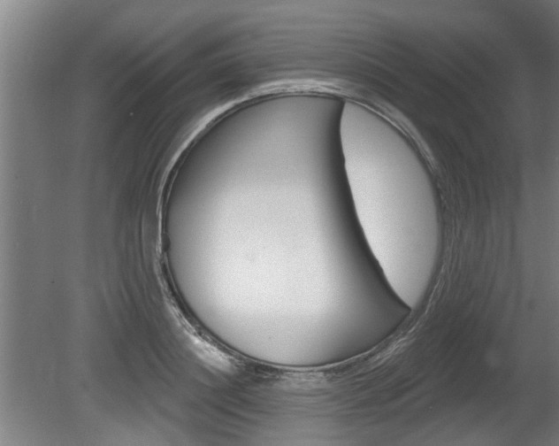 X0000078870844200611131026