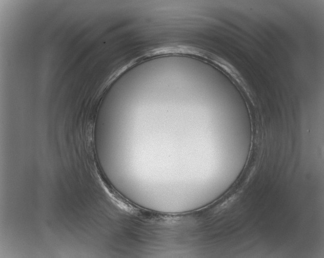X0000078870849200611131026