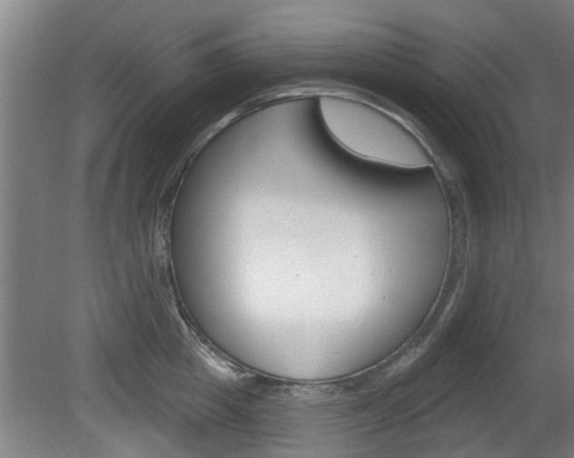 X0000078870857200611131026