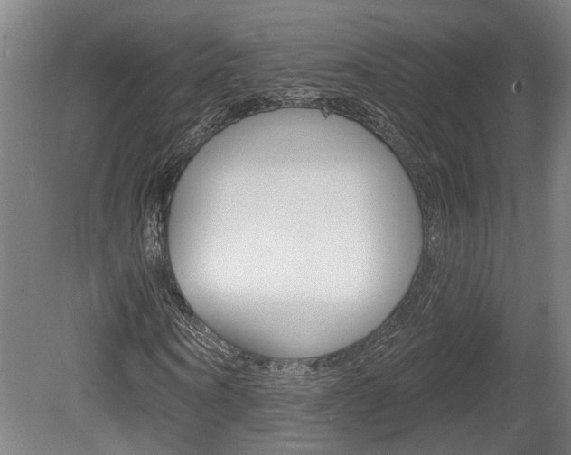 X0000078870866200611131025