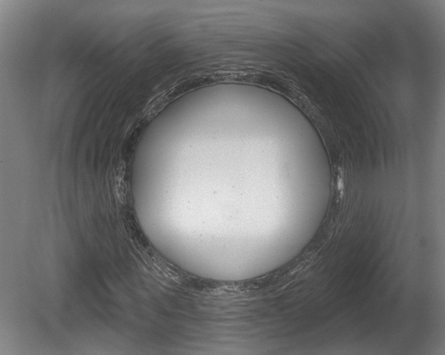 X0000078870867200611131025