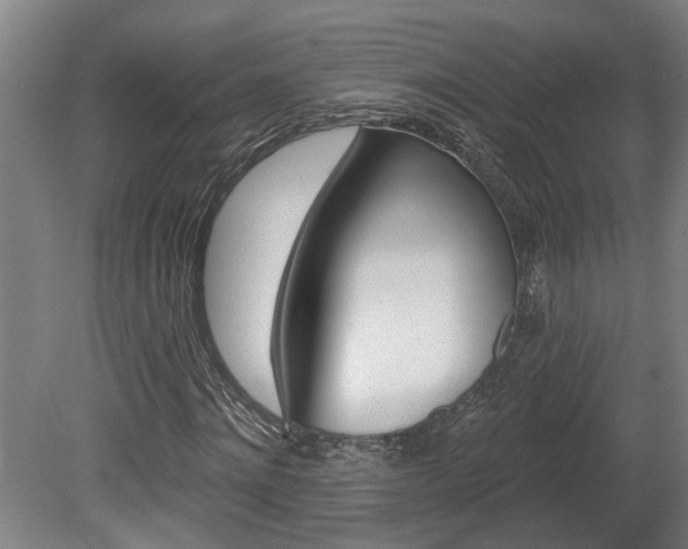 X0000078870868200611131025