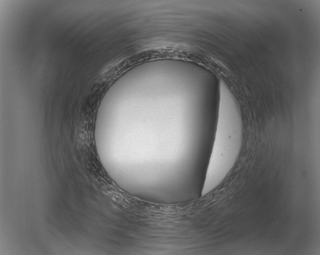 X0000078870869200611131025
