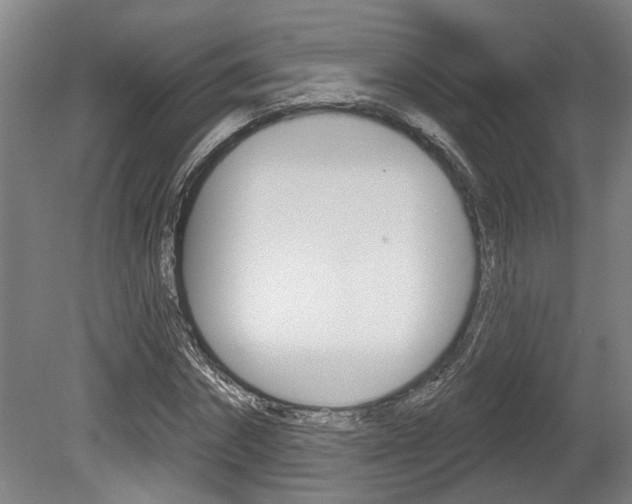 X0000078870874200611131025