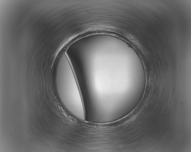 X0000078870877200611131025