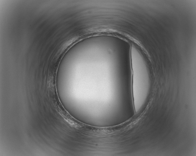 X0000078870881200611131025