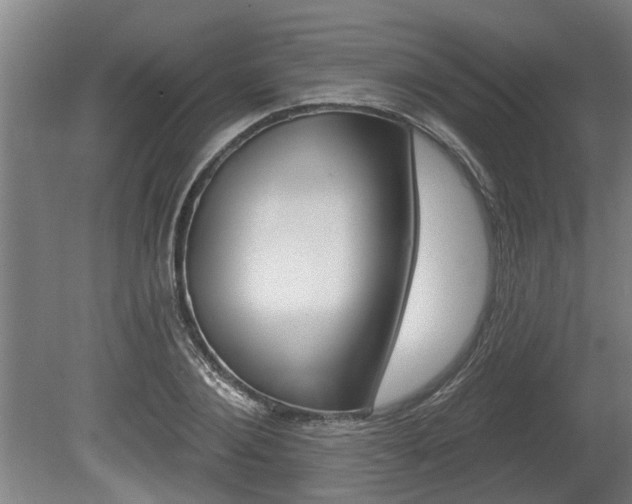 X0000078870884200611131025