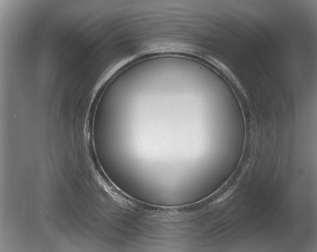 X0000078870885200611131025