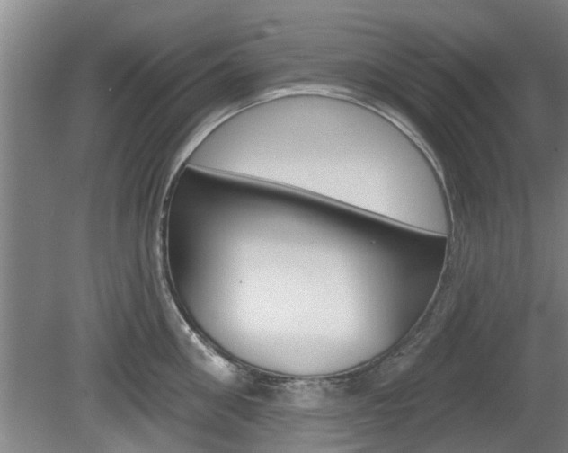 X0000078870906200611131025