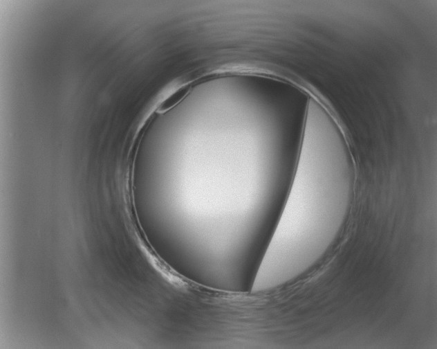X0000078870909200611131025